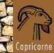 Capricorne 22 dcembre-20 janvier